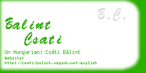 balint csati business card