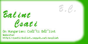 balint csati business card